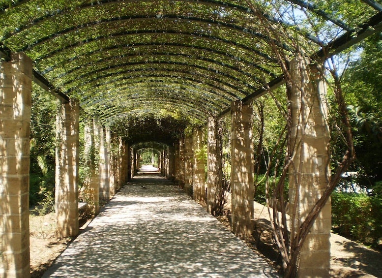 Picture 2 for Activity Athens: National Garden 2-Hour Segway Tour