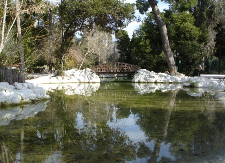 Picture 4 for Activity Athens: National Garden 2-Hour Segway Tour