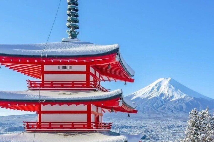 Mt Fuji Sightseeing Private tour with English-speaking Driver