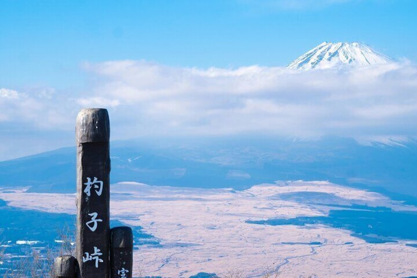 Mt Fuji Sightseeing Private tour with English-speaking Driver