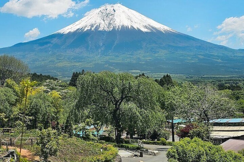 Mt Fuji Sightseeing Private tour with English-speaking Driver