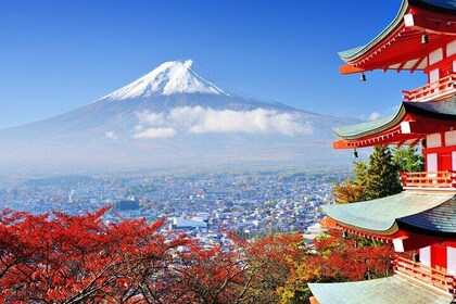 Mt Fuji Sightseeing tour with English-speaking Guide Driver