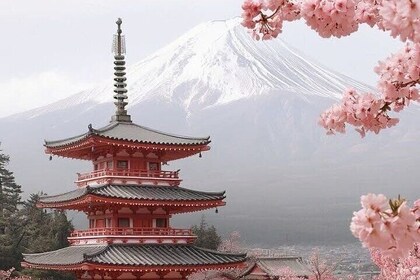 Mount Fuji Customizable one day Private Guided Tour from Tokyo