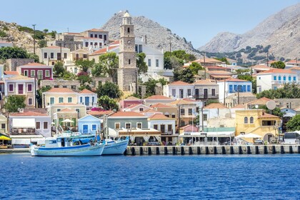 Papillons et île Chalki