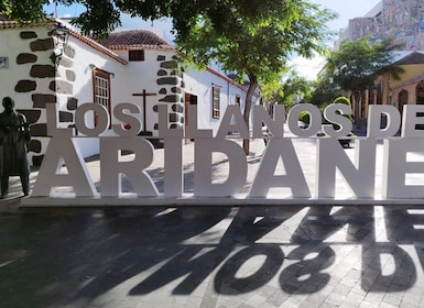 Los Llanos de Aridane:Guided walking tour w/ Open Air Museum