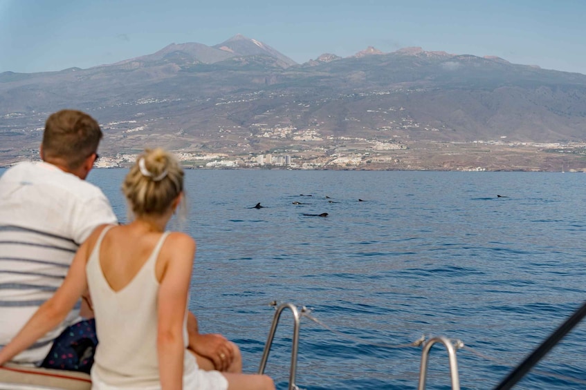 Whale and Dolphin Watching Yacht Trip in Puerto Colon