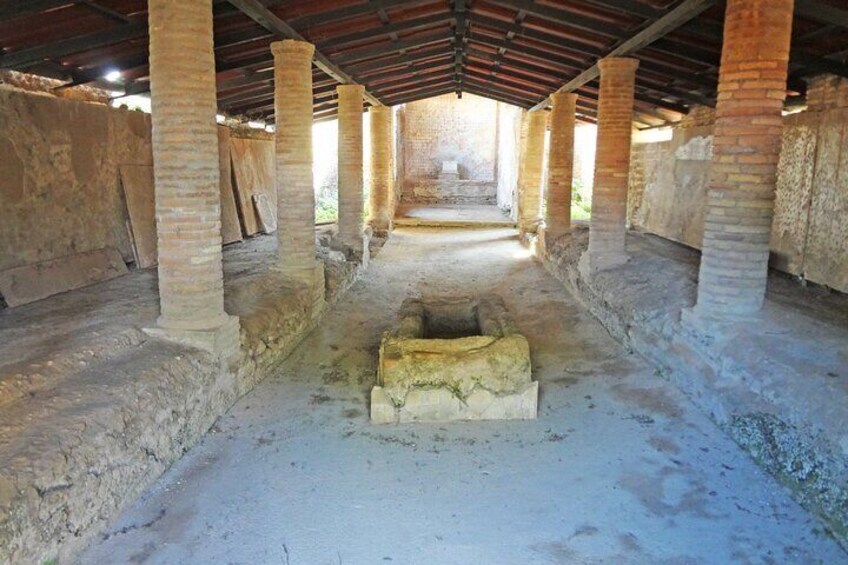Skip-the-line Ostia Antica Private Guided Tour