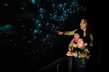 Waitomo Glowworm Cuevas y Kiwi House Grupo pequeño de Auckland