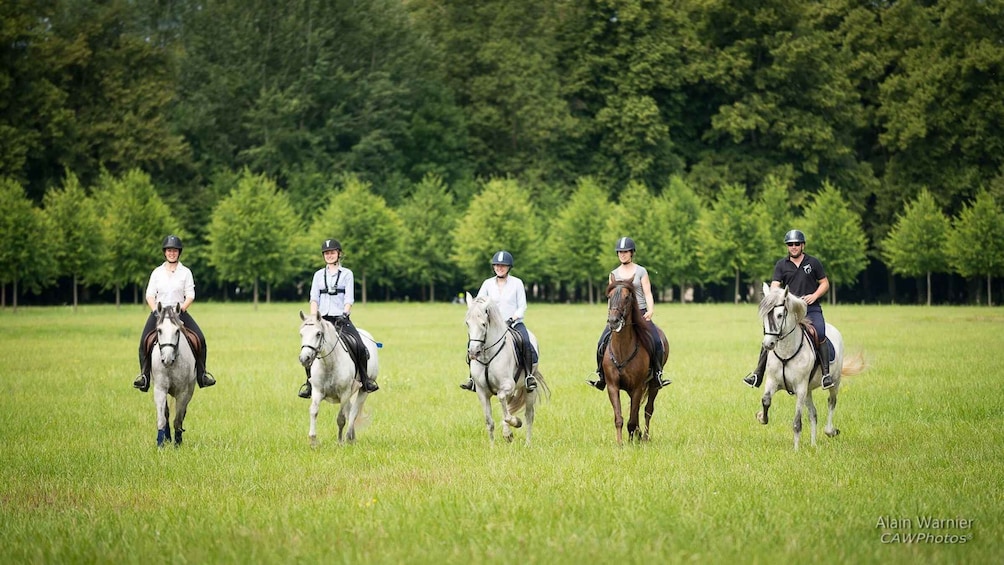 Picture 2 for Activity Horse ride Versailles Intimacy & ViP