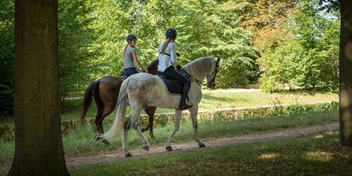Passeggiata a cavallo Versailles Intimità & ViP