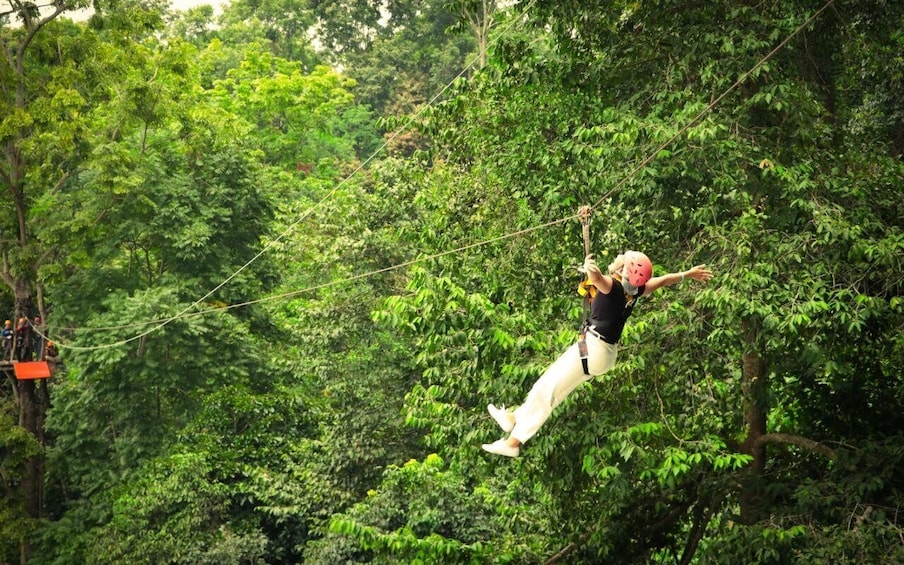 Picture 9 for Activity Chiang Mai: Pongyang Jungle Coaster & Zipline