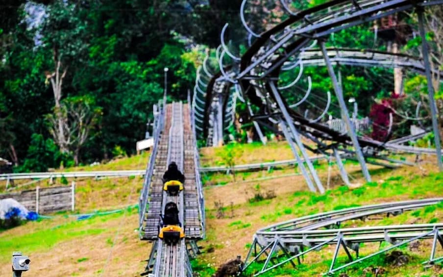 Picture 8 for Activity Chiang Mai: Pongyang Jungle Coaster & Zipline