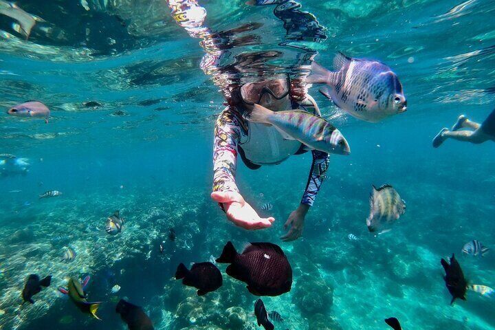 All-inclusive Bali Blue Lagoon And Tanjung Jepun Snorkelling