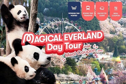 Everland Transfer + Admission ticket with Meal Coupon