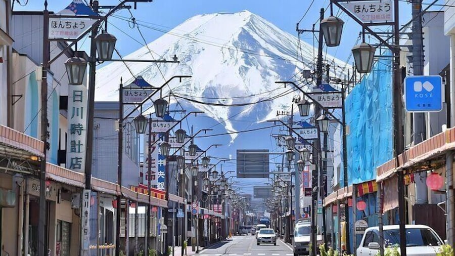 Tokyo: Instagram-Worthy Mt Fuji & Lake Kawaguchiko Day Trip