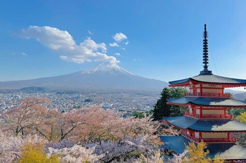 From Tokyo to Mount Fuji Instagram Worthy Full Day Tour