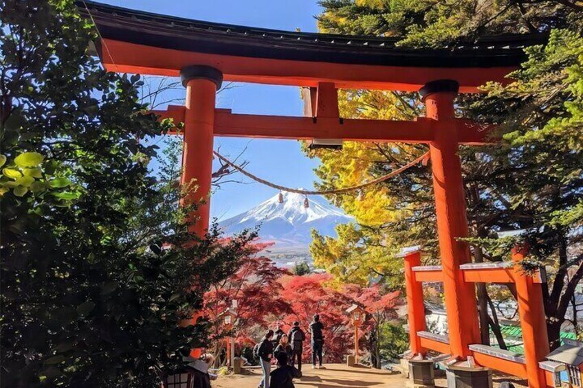 From Tokyo to Mount Fuji Instagram Worthy Full Day Tour