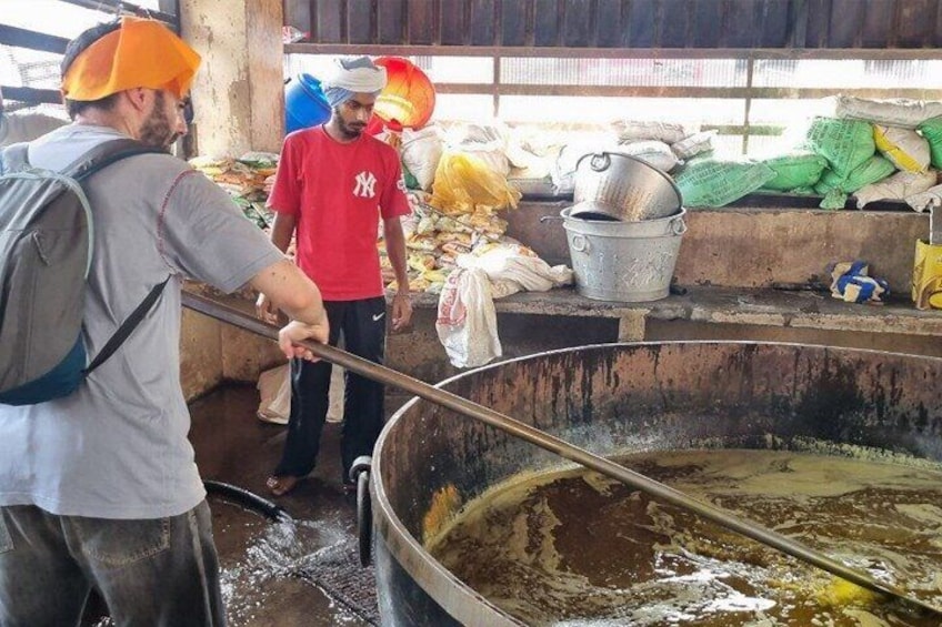 Golden Temple and Jallianwala Bagh Guided Tour