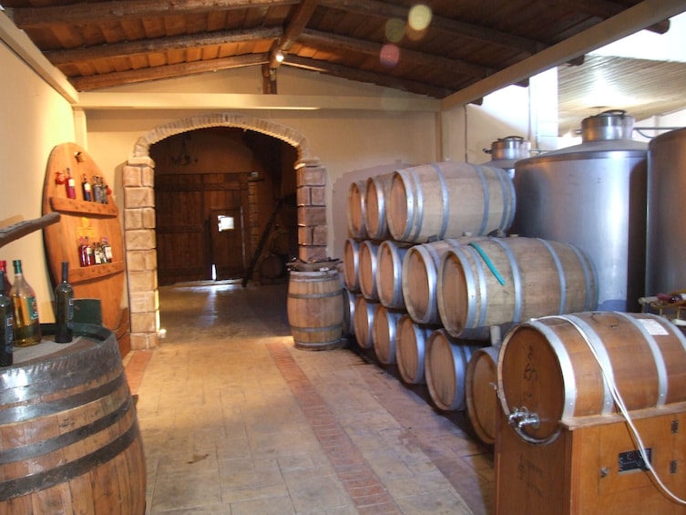 Zante Tour with Blue Caves Boat Trip and Wine Tasting