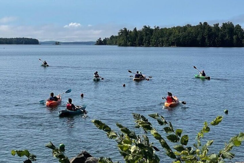 Lake views