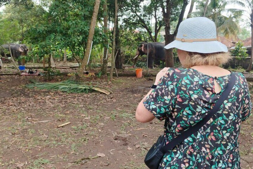 Private Kochi Cultural Tuk-Tuk Tour with Pickup From Cruise Ships