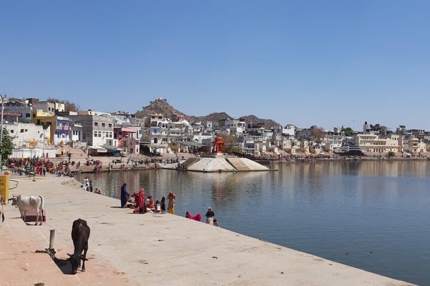 Private Tour Guide Pushkar