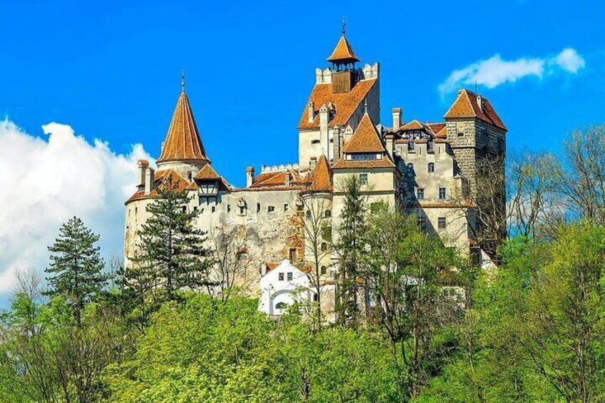 Tour to Dracula's Castle Peles Castle and Brasov from Bucharest
