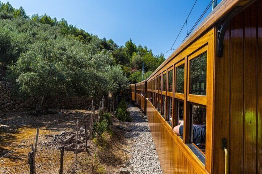 Half Day Guided Tour in Soller Train and Tram