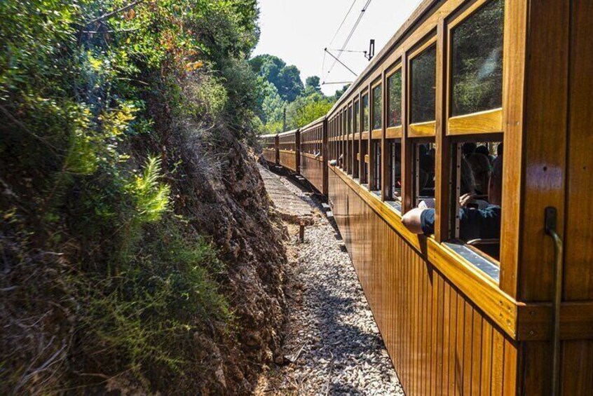 Half Day Guided Tour in Soller Train and Tram