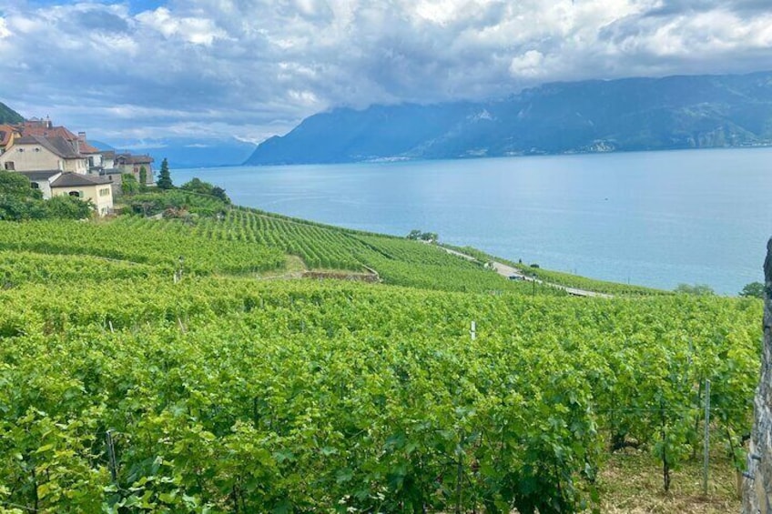 Bern Private Tour - Gruyères , Cheese, and Lavaux's UNESCO Wine