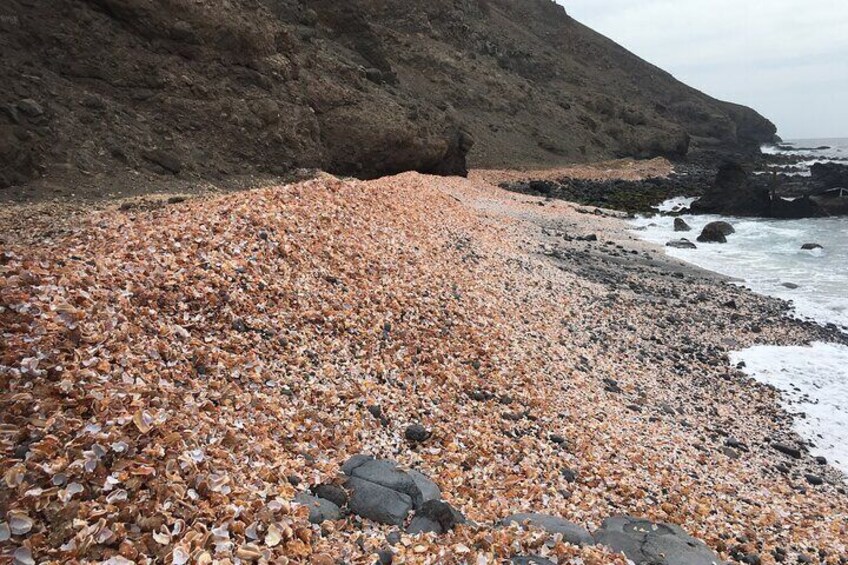 São Pedro - Seashell Beach