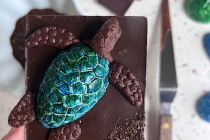 Hawaiian Sea Turtle Chocolate Decorating Class