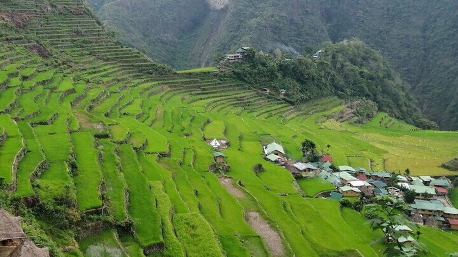 Batad Rice Terraces