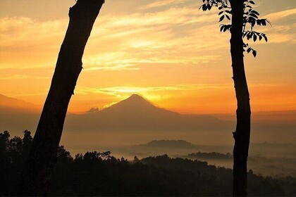 Sunrise and Temple Tour Package with Volcano Jeep Adventure