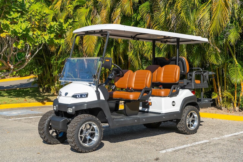 Punta de Mita and Sayulita Golf Cart Rentals