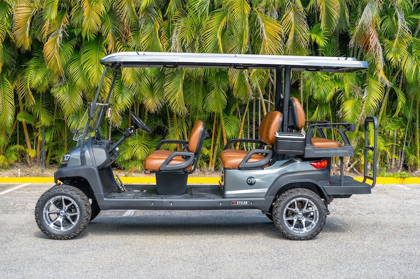 Punta de Mita and Sayulita Golf Cart Rentals