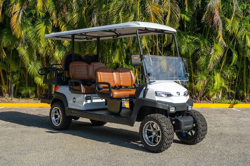 Punta de Mita and Sayulita Golf Cart Rentals