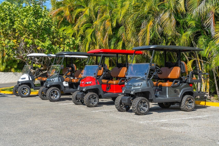 Punta de Mita and Sayulita Golf Cart Rentals