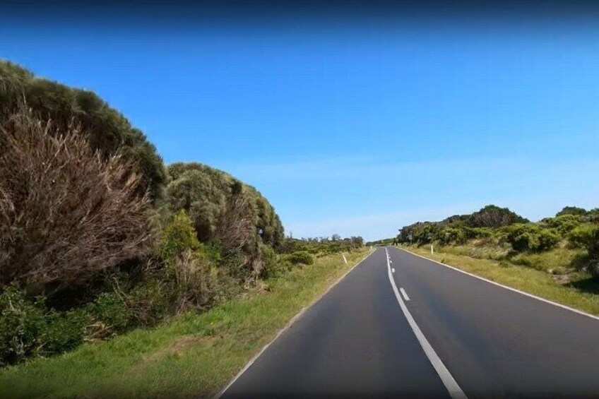 Self Guided Driving Tour in Phillip Island 