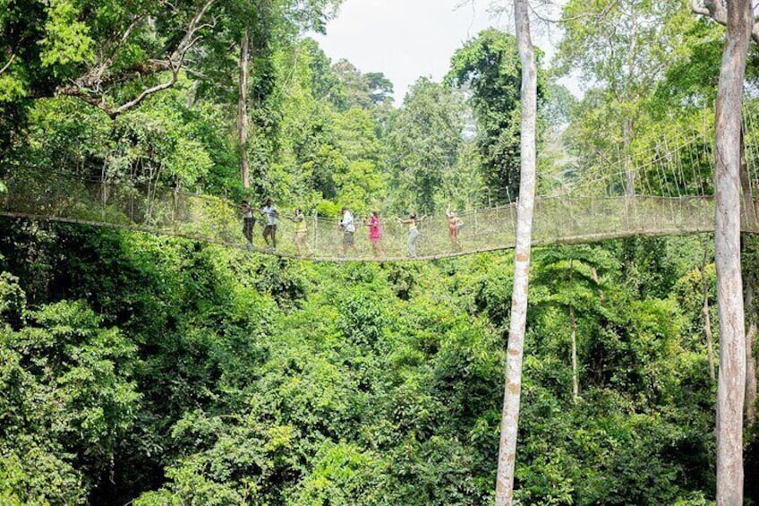 Kakum National Park