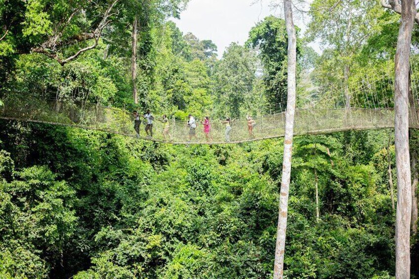 Kakum National Park
