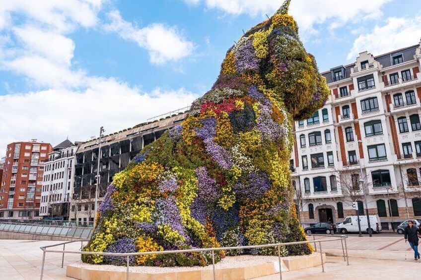 Bilbao & Guggenheim Museum Private Walking Tour with guide