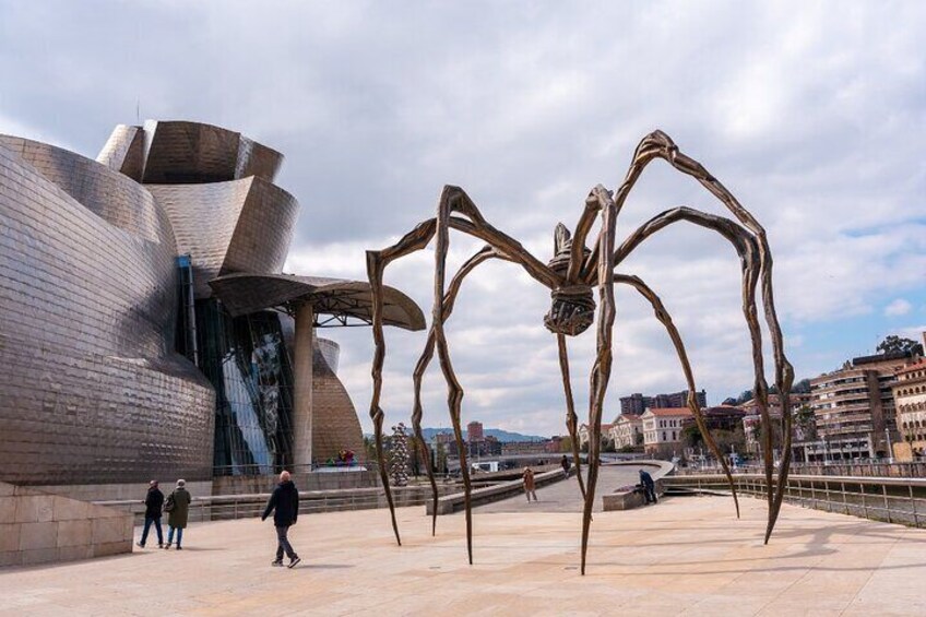 Bilbao & Guggenheim Museum Private Walking Tour with guide