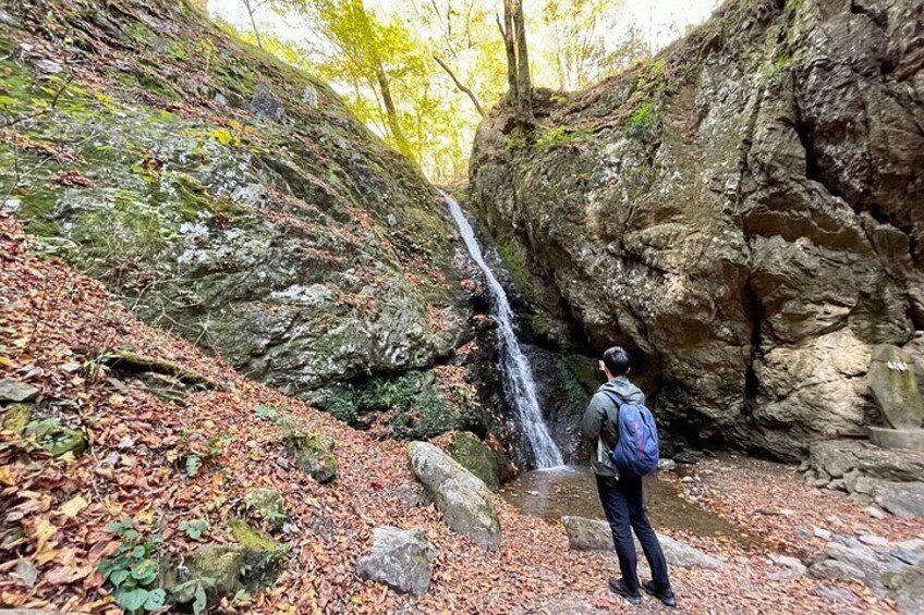 Full Day Guided Hiking Tour in Mt. Mitake