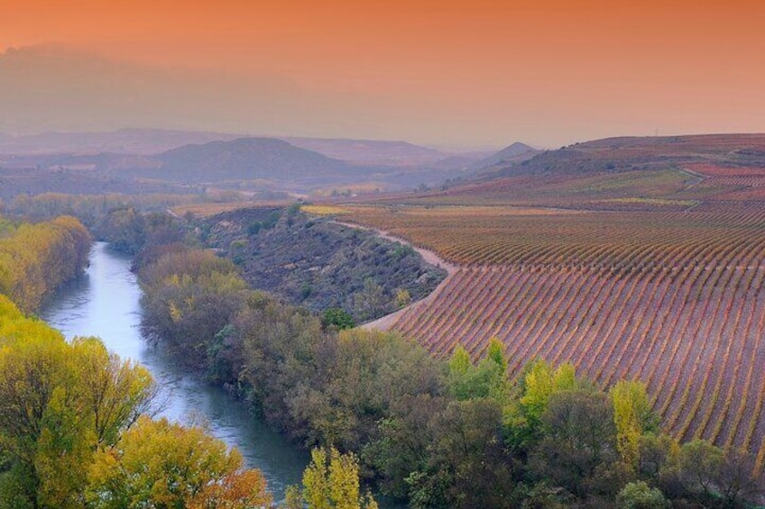 La Rioja Vineyards Private Tour from Bilbao(visit to 3 vineyards)
