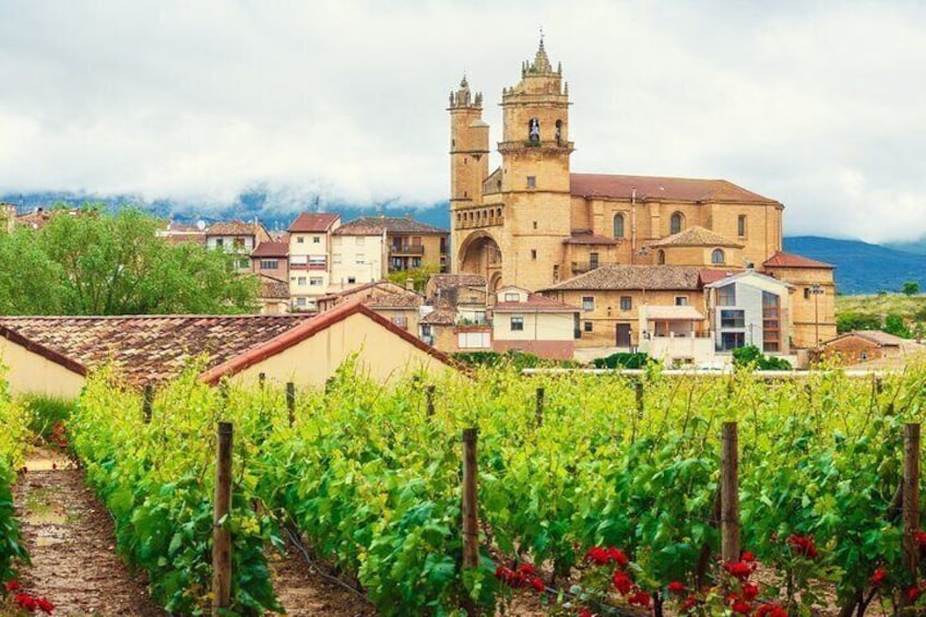 La Rioja Vineyards Private Tour from Bilbao(visit to 3 vineyards)