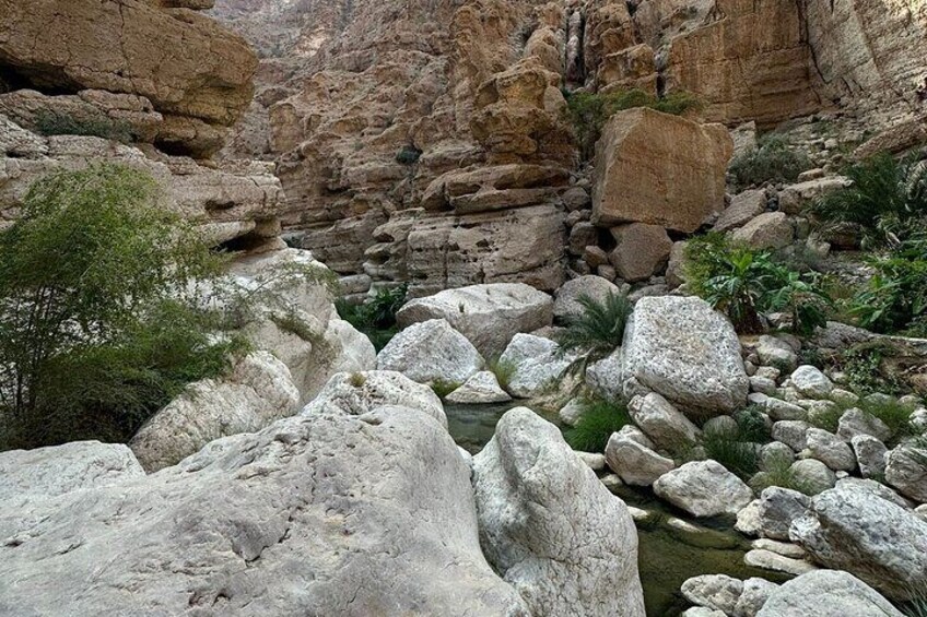 Full Day Private Tour to Wadi Shab and Wadi Tiwi