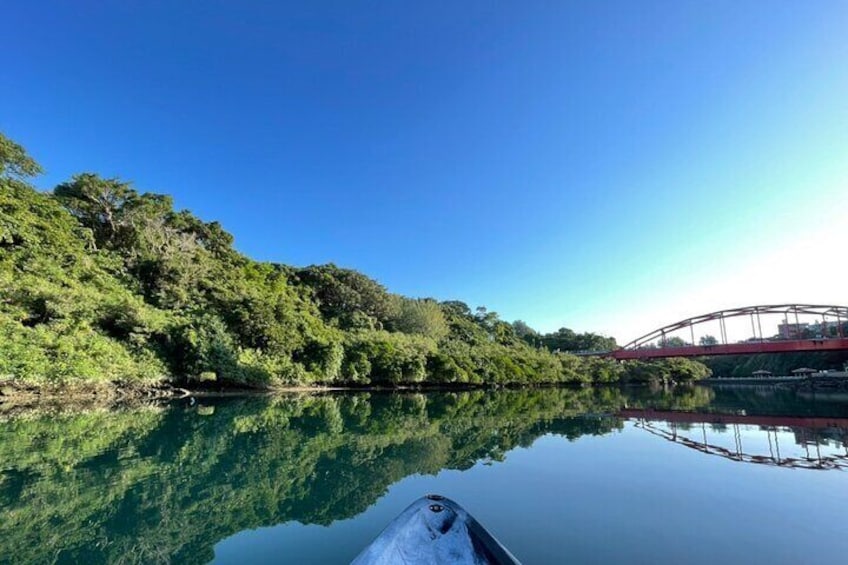 Mangrove SUP in Okinawa