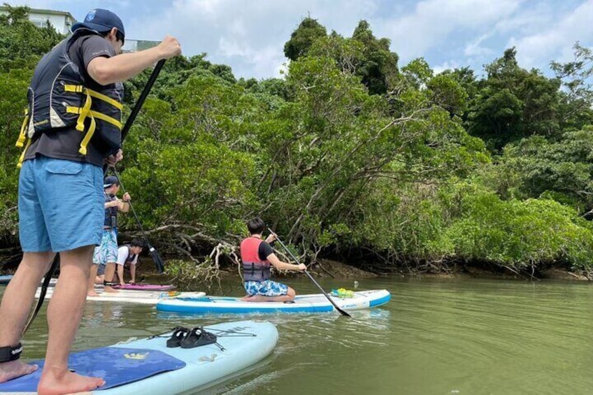 Mangrove SUP in Okinawa