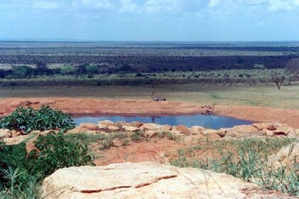 Safari 2 Hari di Taman Nasional Tsavo dari Mombasa dan Diani